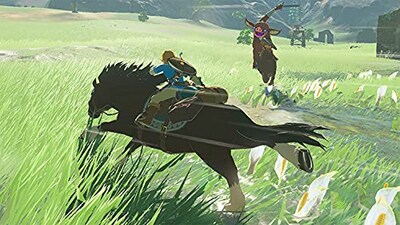 Foto 2 | Foto 2 | The Legend Of Zelda: Breath Of The Wild - Standard Edition - Nintendo Switch