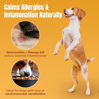 Foto 4 | Foto 4 | Suplemento Life Line Con Aceite De Anchoa Salvaje Y Borraja 770 Ml Para Perros - Venta Internacional.