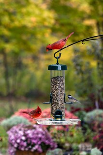 Foto 4 | Foto 4 | Comedero Para Pájaros Silvestres Solución En Tubo Brome 150 Con 1 18 Kg De Semillas - Venta Internacional.