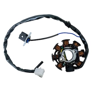 Foto 1 | Foto 1 | Inducido 8 Bobinas Italika D 150 (22-24) Modena 125 (22-23) X 1125 (22-23) D 150 LT (23-24) D 12