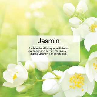 Foto 4 | Foto 4 | Ambientador Para Coche Little Trees Con Aroma A Jazmín 24 Unidades - Venta Internacional.