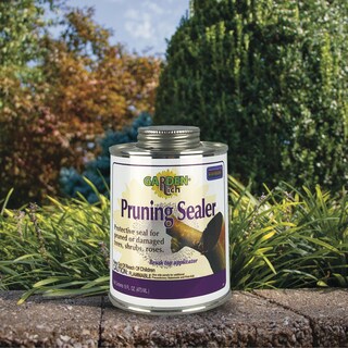 Foto 5 | Foto 5 | Sellador De Poda Sealant Bonide Garden Rich Cepillo De 473 Ml - Venta Internacional.