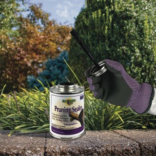 Foto 6 | Foto 6 | Sellador De Poda Sealant Bonide Garden Rich Cepillo De 473 Ml - Venta Internacional.