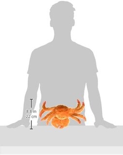 Foto 6 | Foto 6 | Juguete Para Mascotas Jolly Pets Escali Arti Cangrejo Grande Y Chirriante - Venta Internacional.