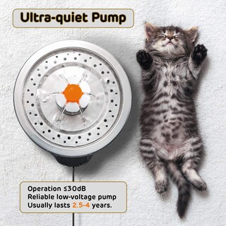 Foto 6 | Foto 6 | Fuente De Agua Cat Ipettie Led De Acero Inoxidable De 2 5 L - Venta Internacional.