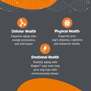 Foto 5 | Foto 5 | Suplemento Zesty Paws Nad+ Precursor Niagen 30 Sobres - Venta Internacional.