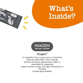 Foto 6 | Foto 6 | Suplemento Zesty Paws Nad+ Precursor Niagen 30 Sobres - Venta Internacional.