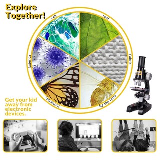 Foto 5 | Foto 5 | Microscopio Para Principiantes Little World De Science Kits 100x-1200x - Venta Internacional.