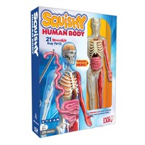Laboratorio Para Niños Smartlab Qpg Squishy Cuerpo Humano De Grado 3-8 - Venta Internacional.