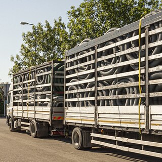 Foto 6 | Foto 6 | Correa De Amarre Con Trinquete Para Autofonder 2 Cm X 8 M Paquete De 4 Unidades Amarilla - Venta Internacional.