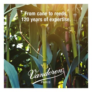 Foto 5 | Foto 5 | Cañas Para Clarinete Vandoren Cr1945 V.12 Strength 4.5 (paquete De 10) - Venta Internacional.