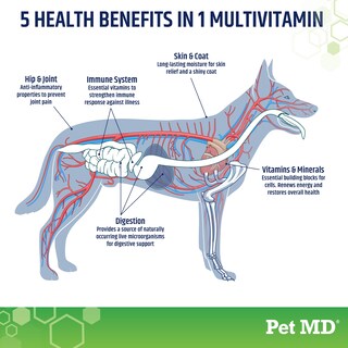Foto 2 | Foto 2 | Multivitamínico Para Perros Pet Md 5 En 1 120 Masticables 480 G - Venta Internacional.