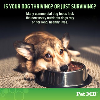 Foto 4 | Foto 4 | Multivitamínico Para Perros Pet Md 5 En 1 120 Masticables 480 G - Venta Internacional.