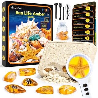 Foto 1 | Foto 1 | Kit Amber Dig Gobidex Sea Life Con 6 Moluscos De Resina Para Más De 6 Años - Venta Internacional.