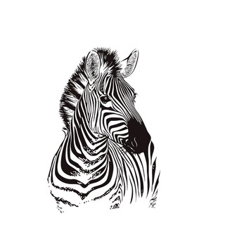 Foto 3 | Foto 3 | Adhesivos De Pared Con Diseño De Cebra Pvc Rayas Blancas Y Negras 30 X 40 Cm - Venta Internacional.