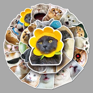 Foto 2 | Foto 2 | Paquete De Pegatinas Con Forma De Gracioso Rostro De Gato 50 Unidades De Vinilo Impermeable - Venta Internacional.