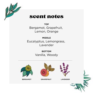 Foto 2 | Foto 2 | Spray De Baño Poo-pourri Before-you-go Lavanda Y Vainilla 60 Ml - Venta Internacional.