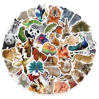 Calcomanías De Vinilo Impermeables Animal World 50 Unidades - Venta Internacional.