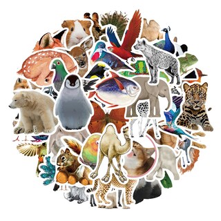 Foto 2 | Foto 2 | Paquete De Pegatinas Con Forma De Animal 50 Unidades Bonitas Calcomanías Con Dibujos Animados De A - Venta Internacional.