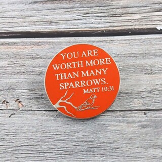 Foto 3 | Foto 3 | Broche De Aleación You Are Vales Más Que Muchos Gorriones - Venta Internacional.