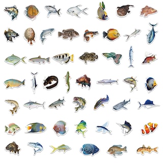 Foto 2 | Foto 2 | Paquete De Pegatinas Goldfish 50 Unidades Coloridas Transparentes Pet Vin - Venta Internacional.