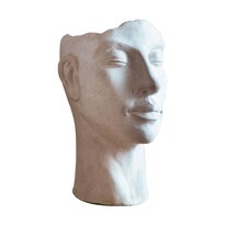 Cabeza De Cemento Flowerpot Creative Rostro Humano Abstracto 1 5 Kg - Venta Internacional.