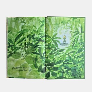 Foto 4 | Foto 4 | Dormir El Trópico