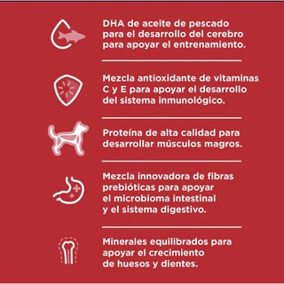 Foto 3 | Foto 3 | Alimento para Perro Diamond Naturals Raza Pequeña 5.7 kg