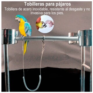 Foto 2 | Foto 2 | Correa Arnés Anti-mordedura Belug 6 M Flexible Mascota Loro Pájaro Gris