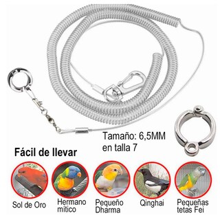 Foto 3 | Foto 3 | Correa Arnés Anti-mordedura Belug 6 M Flexible Mascota Loro Pájaro Gris