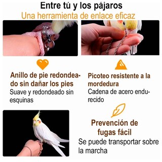 Foto 4 | Foto 4 | Correa Arnés Anti-mordedura Belug 6 M Flexible Mascota Loro Pájaro Gris