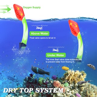 Foto 5 | Foto 5 | Set De Snorkel Acqces Para Niños Con Dry Top Edad 5-15 Años Con Máscara Y Tubo Respirador - Venta Internacional.
