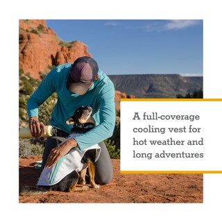 Foto 3 | Foto 3 | Chaleco Para Perro Ruffwear Swamp Cooler Enfriamiento Evaporativo Verde Salvia Grande - Venta Internacional.