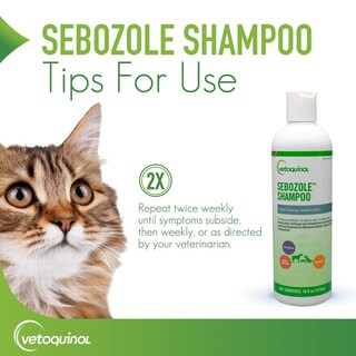 Foto 6 | Foto 6 | Champú Para Mascotas Vetoquinol Sebozole Con Miconazol 473 Ml - Venta Internacional.