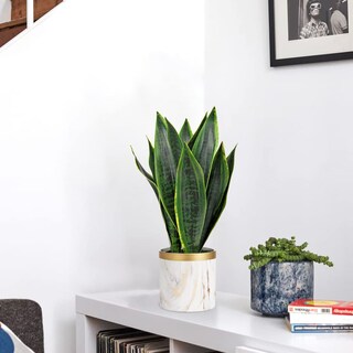 Foto 3 | Foto 3 | Planta De Serpiente Artificial Briful 41 Cm Con Maceta Cerámica Blanca - Venta Internacional.