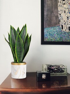 Foto 7 | Foto 7 | Planta De Serpiente Artificial Briful 41 Cm Con Maceta Cerámica Blanca - Venta Internacional.