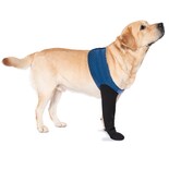 Calcetas Para Perro Coodeo Para Prevenir El Lamido De Patas Botas De Recuperación 3xl Azul - Venta Internacional.