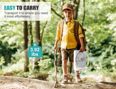 Foto 7 | Foto 7 | Ventilador Recargable Addacc 20000mah De Mesa De 10'' Con Temporizador Y Pivot - Venta Internacional.