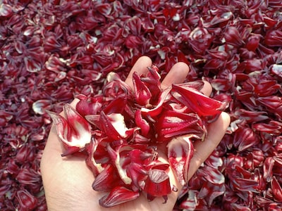 Foto 7 | Foto 7 | Polvo Orgánico De Hibisco Carmel Organics 794g Usda No Ogm - Venta Internacional.