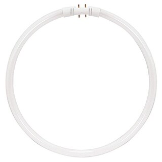 Foto 1 | Foto 1 | Círculo Fluorescente Kor Fc40t5/830-12 T5 40w 3000k Base 2gx13 - Venta Internacional.