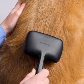 Foto 3 | Foto 3 | Slicker Brush Tweezerman Para Perros Y Gatos Para Mascotas Grandes - Venta Internacional.