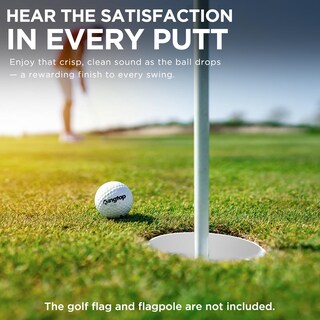 Foto 6 | Foto 6 | Juego De 4 Copas Para Hoyos De Golf Kingtop Con Altura De 10 Cm Ajustadas Al Estándar Pga/usga - Venta Internacional.