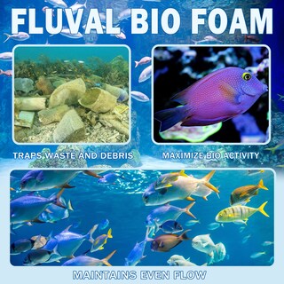 Foto 6 | Foto 6 | Almohadillas De Filtro De Espuma De Repuesto Para Filtros Canasta Fluval Fx5 Fx6 - Venta Internacional.