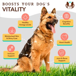 Foto 4 | Foto 4 | Suplemento De Aceite De Pescado Natural Dog Company Ultra Omega 3 473 Ml - Venta Internacional.