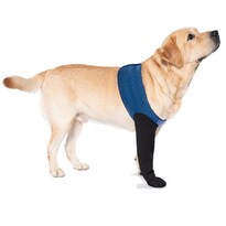 Botas Protectoras Para Patas De Perro Coodeo Calcetines Azul Talla L - Venta Internacional.