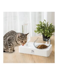 Foto 2 | Foto 2 | Juego de Cuencos Xtellar Inclinados para Gatos