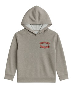 Foto 2 | Foto 2 | Hoodie Zyro Kids 1203 Gris Elefante Cactus Brainrot Para Niño