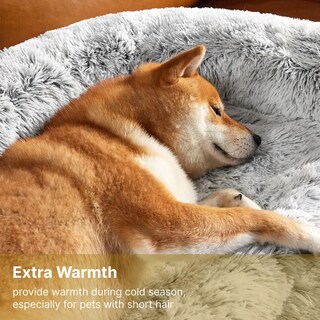 Foto 5 | Foto 5 | Cama Para Perros Codi Para Sofá Relajante Y Mascotas Tamaño Xl Con Funda Lavable - Venta Internacional.