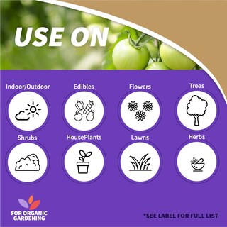 Foto 2 | Foto 2 | Spray Bonide Captain Jack's Neem Max 3.8l Insecticida Orgánico - Venta Internacional.