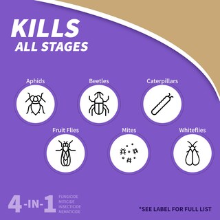 Foto 3 | Foto 3 | Spray Bonide Captain Jack's Neem Max 3.8l Insecticida Orgánico - Venta Internacional.